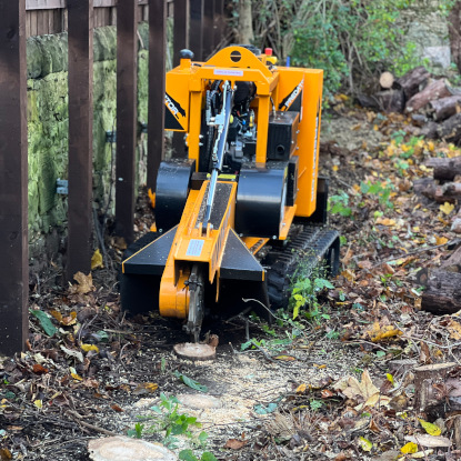 Stump Removal with a Stump Grinder