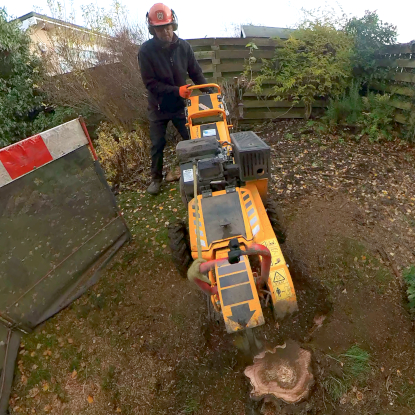 Stump Grinding - Best way to remove stumps