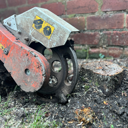 Portable Stump Grinder