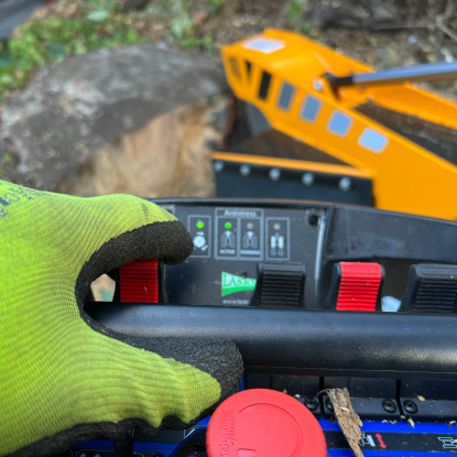 Edinburgh Stump Removal