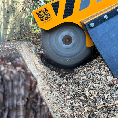 Stump Grinder in action