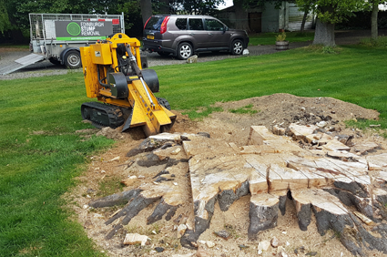 Image result for Stump RemovalÂ